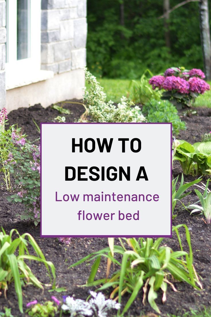 The best tips for designing and planting a low maintenance flower bed -   14 garden design Low Maintenance ideas