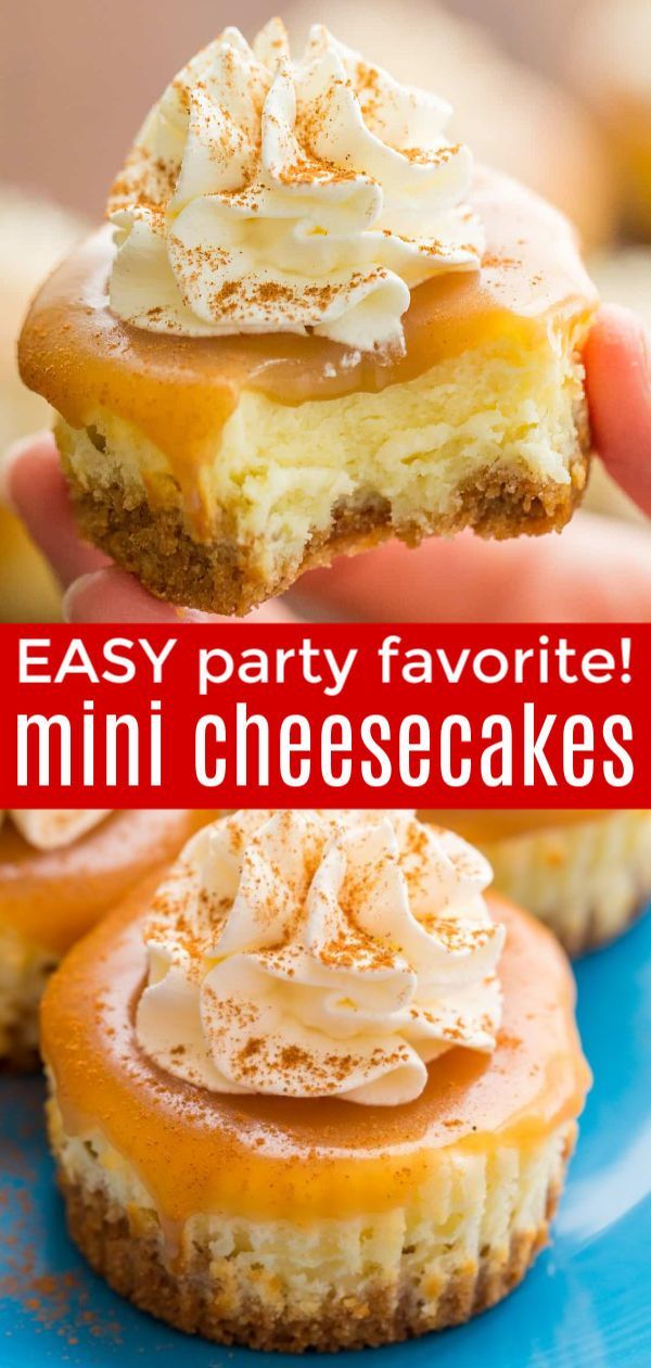 Mini Cheesecakes with Caramel Sauce -   14 mini cake Easy ideas