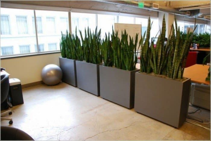 127 Decorative Room Divider Ideas for Your Apartment -   14 planting Room divider ideas