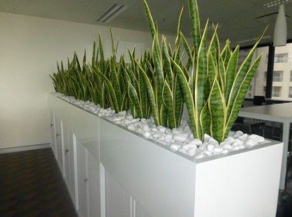 30+ Super Ideas Plants Room Divider Planter Boxes -   14 planting Room divider ideas