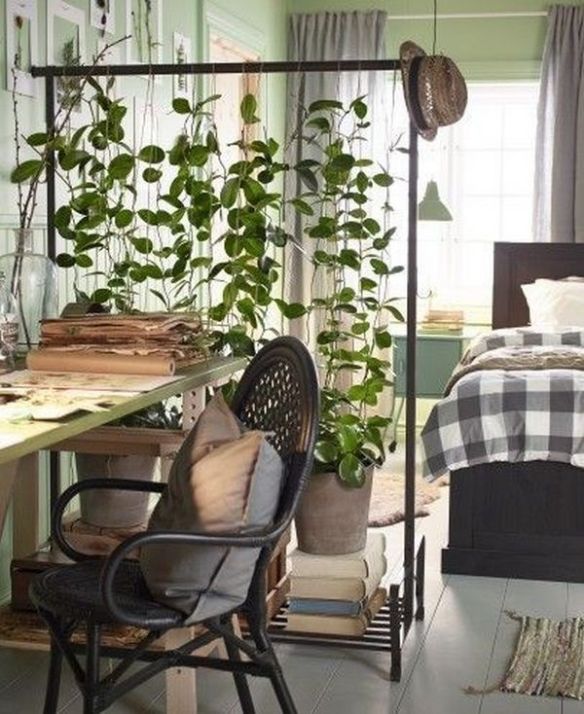 11 Fantastic Room Divider Ideas For Your Home -   14 planting Room divider ideas