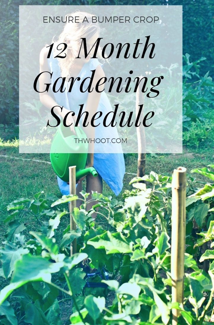 Garden Planting Schedule Year Round Infographic Video Tutorial -   15 planting Garden thoughts ideas