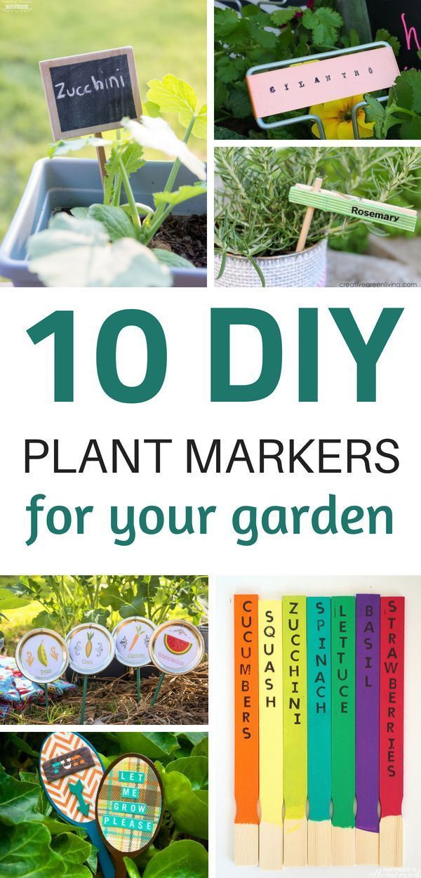 15 planting Garden thoughts ideas