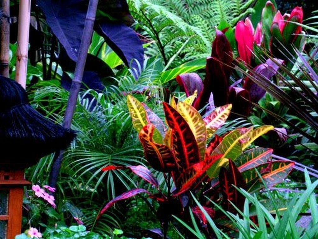 50 Awesome Tropical Garden Landscaping Ideas -   15 plants Tropical landscapes ideas
