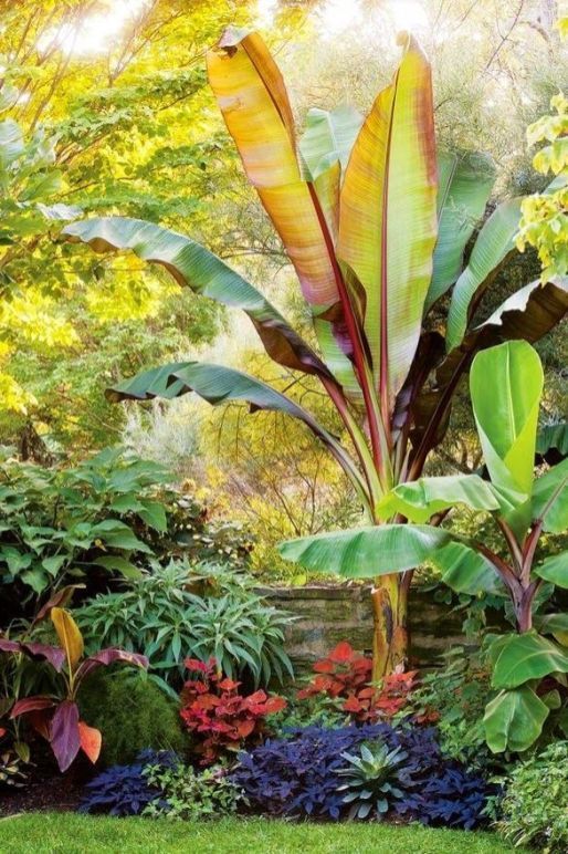 22 Tropical Landscaping Design Ideas -   15 plants Tropical landscapes ideas
