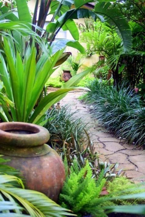 14 Tropical Plants to Create a Tropical Garden in Cold Climate -   15 plants Tropical landscapes ideas