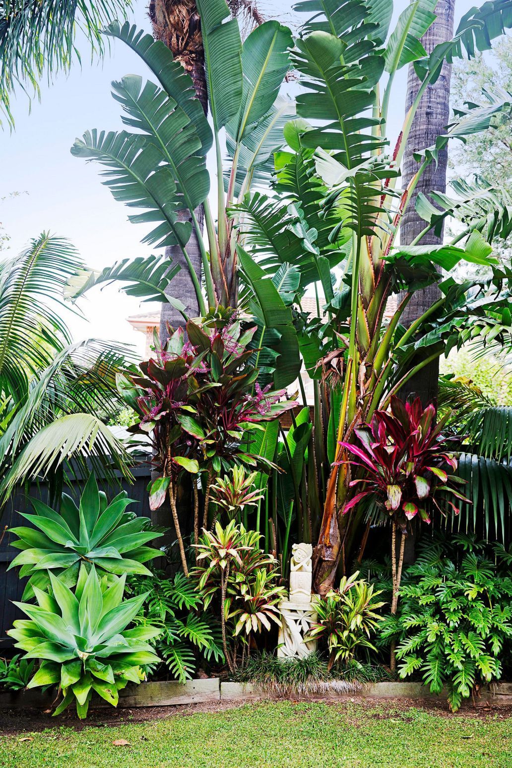South Florida Tropical Landscaping Idea (South Florida Tropical Landscaping Idea) design ideas and photos -   15 plants Tropical landscapes ideas