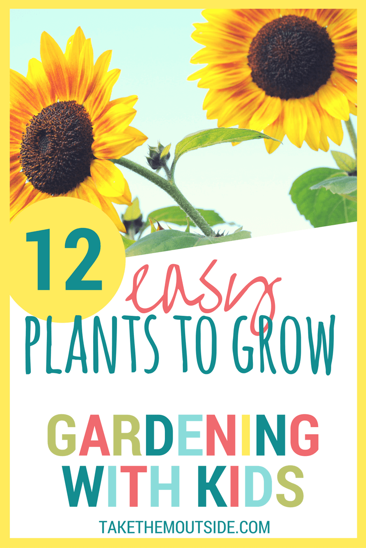 12 Easy garden plants that will make gardening fun! -   17 plants For Kids awesome ideas