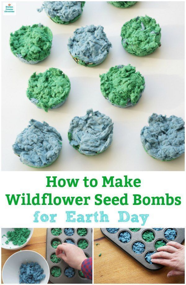 How to Make Seed Bombs For Earth Day -   17 plants For Kids awesome ideas