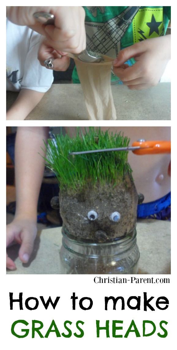 How to Make Grass Heads -   17 plants For Kids awesome ideas