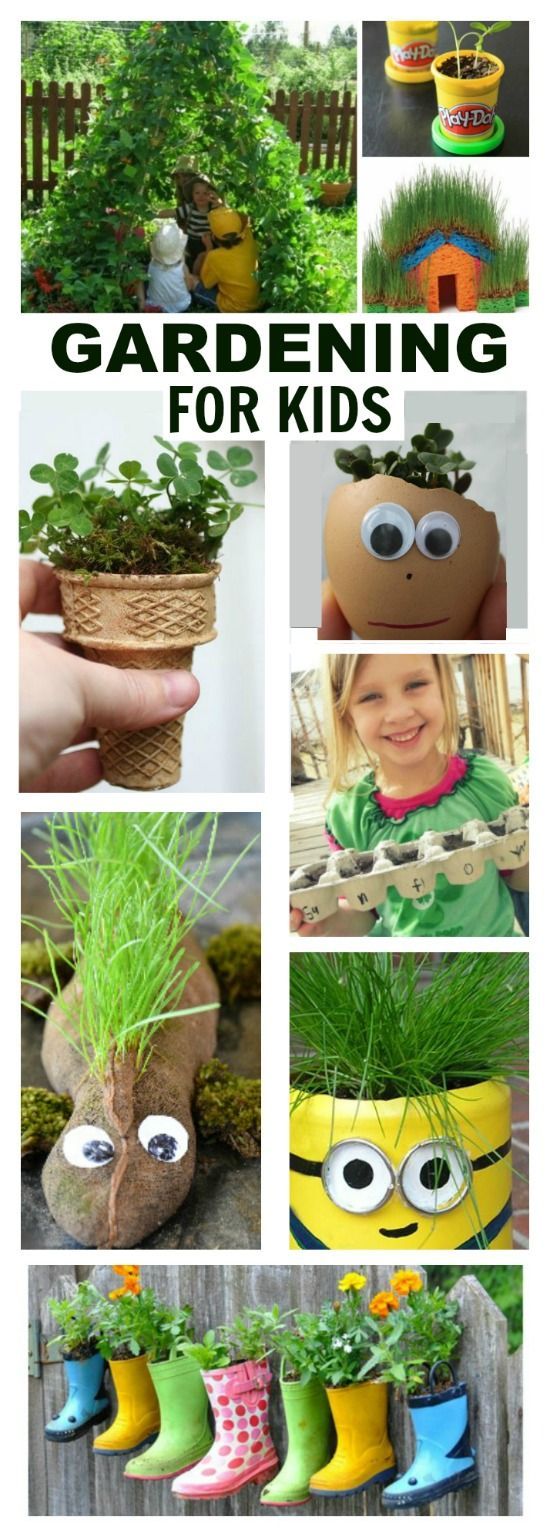 Gardening Activities for Kids -   17 plants For Kids awesome ideas