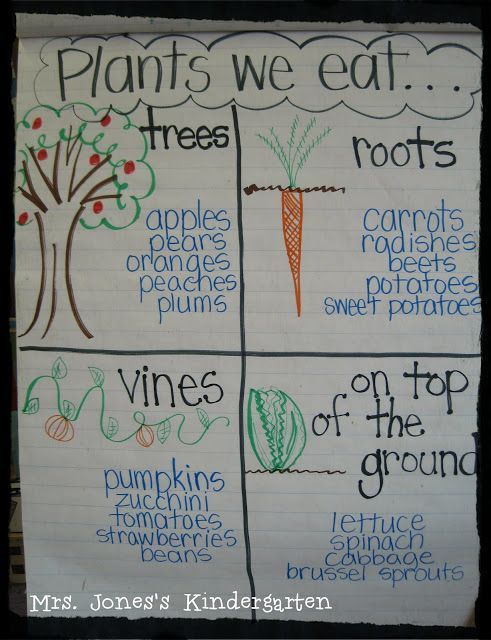 35+ Spring Activities & Books to Use in the Classroom -   17 plants For Kids awesome ideas