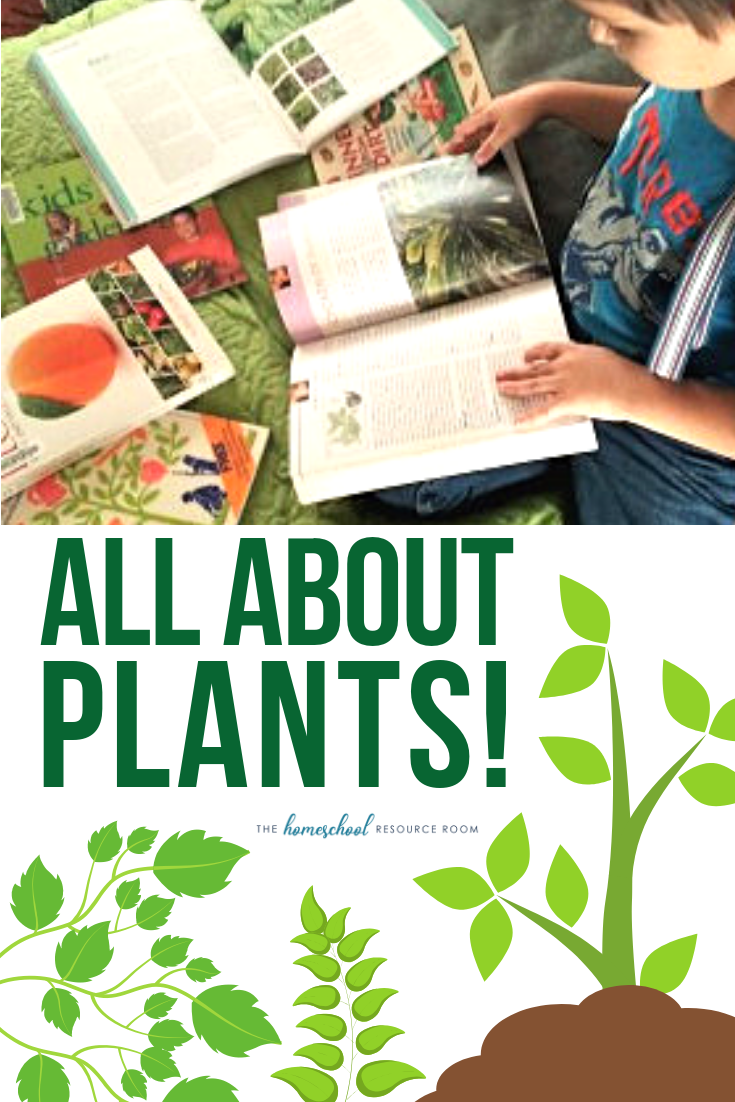 A FUN, Hands-on Introduction to Plants for Kids! -   17 plants For Kids awesome ideas