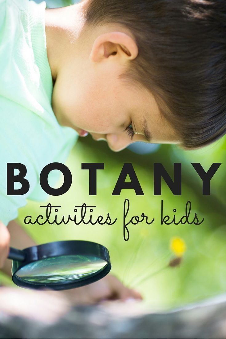 Guide to Botany for Preschoolers - 12+ Awesome Montessori Activities -   17 plants For Kids awesome ideas