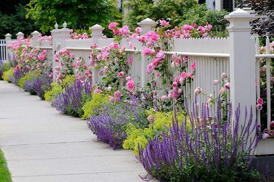 Landscaping with Lavender -   18 garden design Wall flower beds ideas