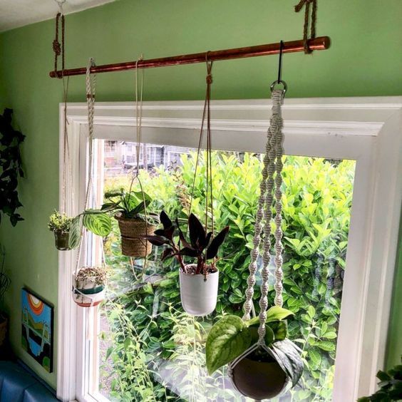 How to decor with Plants -   9 hanging plants Interieur ideas