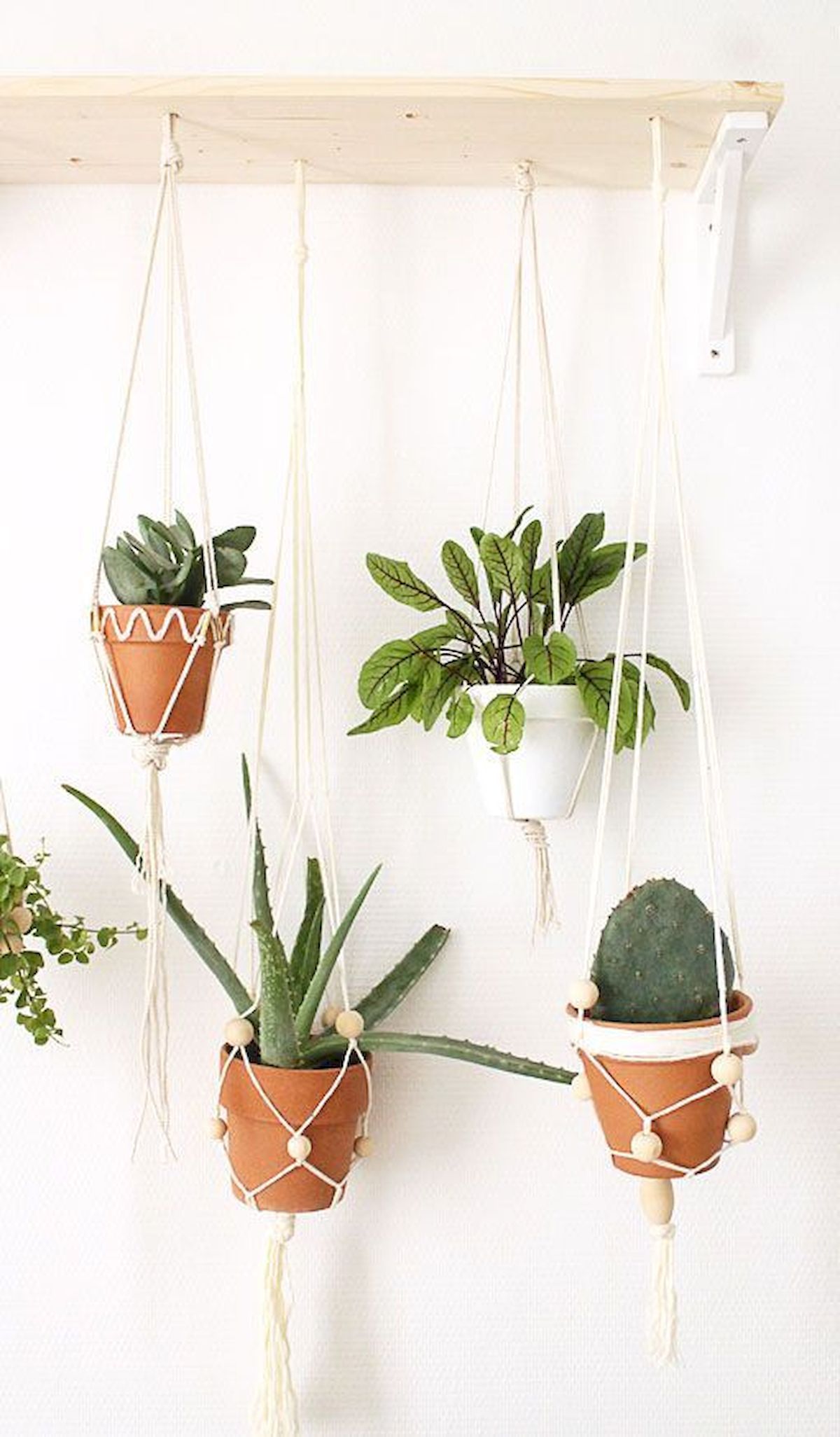 9 hanging plants Interieur ideas