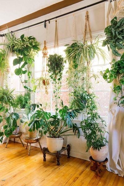 39 Easy Indoor Garden For Home Design Ideas -   9 hanging plants Interieur ideas