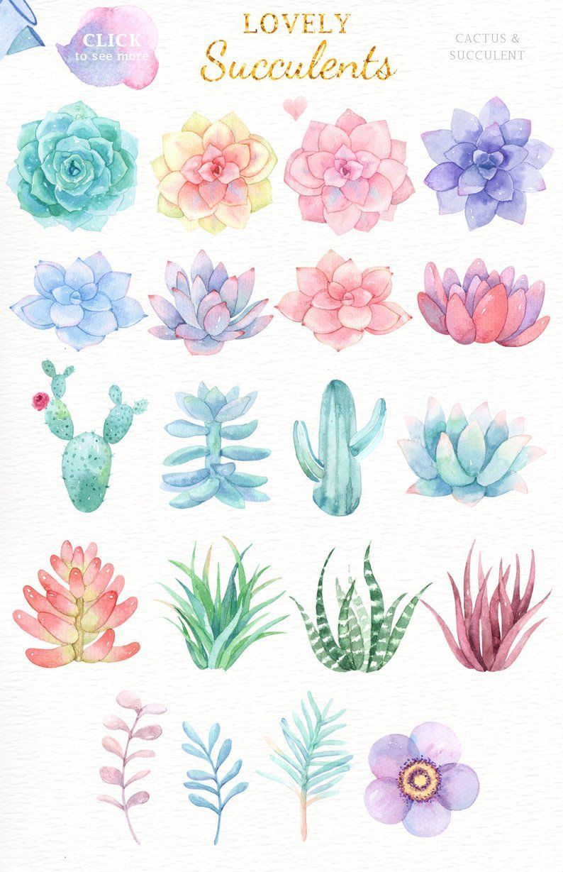 Lovely Succulents Watercolor Cliparts, Glass Terrarium, Botanical Plant, Tropical Clipart, Golden Te -   9 plants Illustration succulent ideas