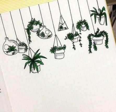 9 plants Illustration succulent ideas