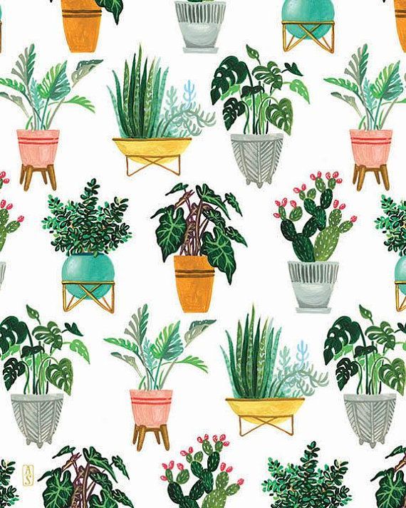 Plant Pattern Print, Plant Illustration, Plant Art, Cactus, Succulent, Monstera Plant -   9 plants Illustration succulent ideas