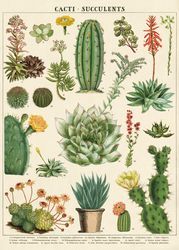 Cavallini Tropical Plants Decorative Wrap -   9 plants Illustration succulent ideas