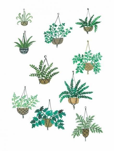 17 New Ideas For Plants Illustration Hanging -   9 plants Illustration succulent ideas