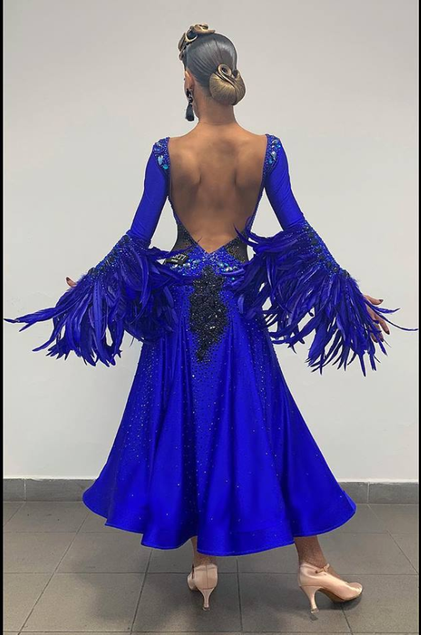 ARTI blue standard ballroom dress (back) -   10 dress Dance standard ideas
