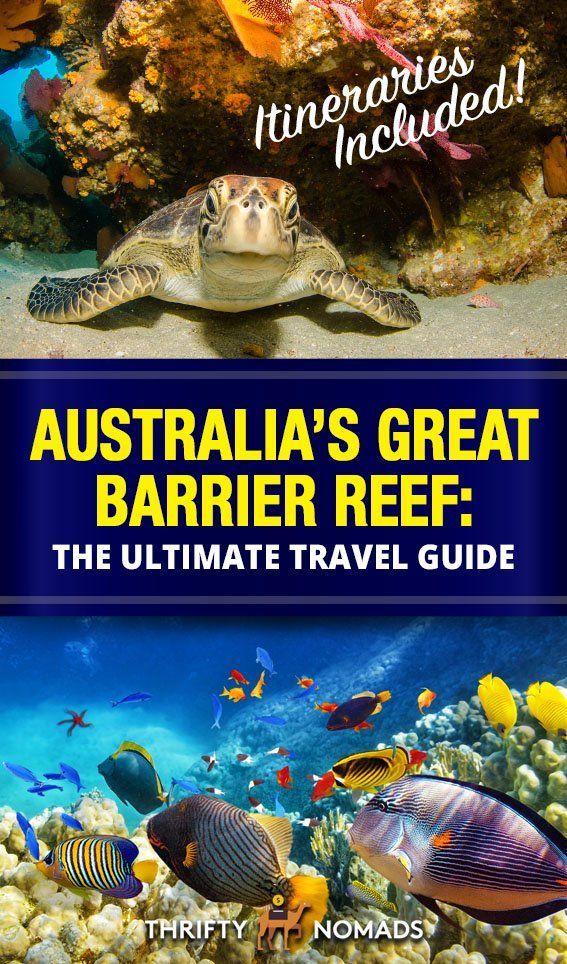 How to Visit Australia's Great Barrier Reef: The Ultimate Guide -   10 travel destinations Australia great barrier reef ideas
