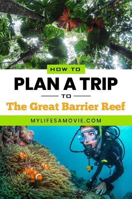 How to Plan a Trip to The Great Barrier Reef -   10 travel destinations Australia great barrier reef ideas