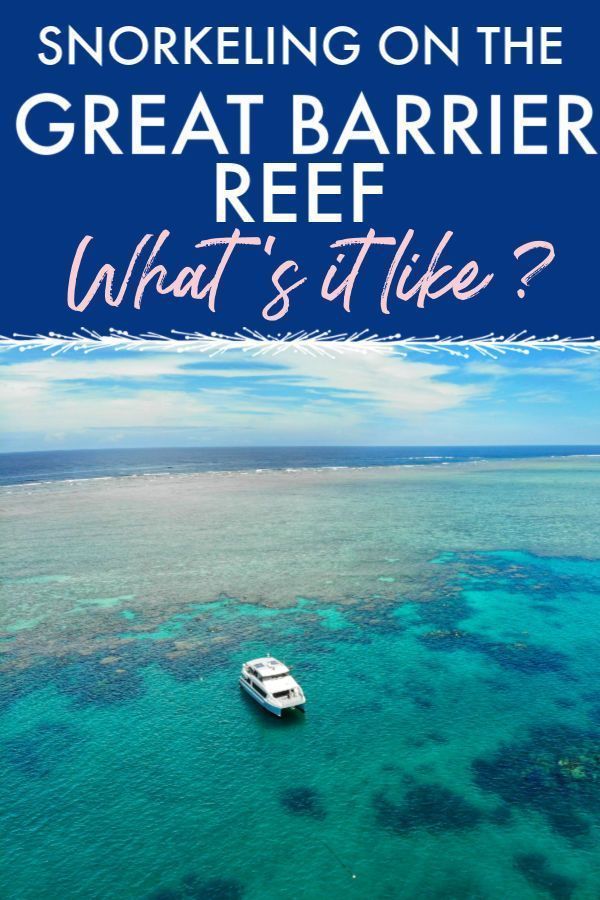 Snorkeling On The Great Barrier Reef -   10 travel destinations Australia great barrier reef ideas