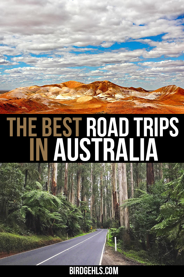 Road Trip Australia: 20 Routes For Your Next Journey -   10 travel destinations Australia great barrier reef ideas