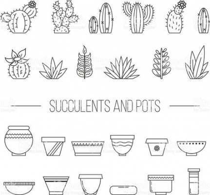 Mini succulent drawing 70+ Ideas -   11 plants Drawing succulent ideas