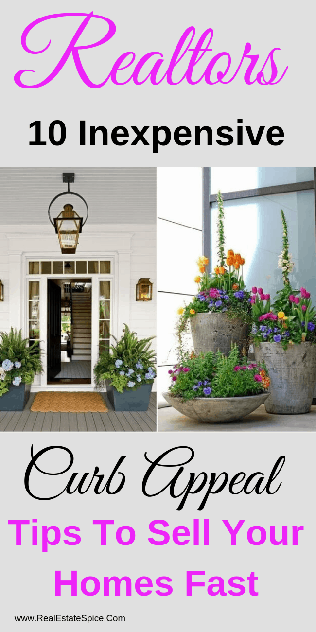 10 Inexpensive Curb Appeal Tips To Attract More Buyers & A High ROI -   12 plants House curb appeal ideas