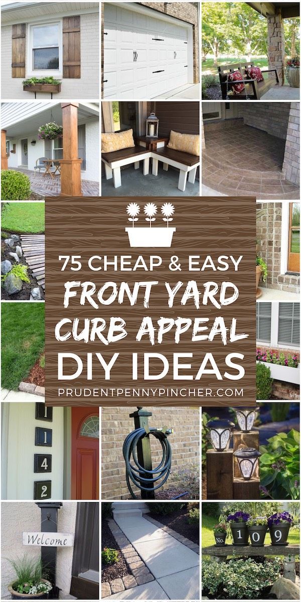 12 plants House curb appeal ideas