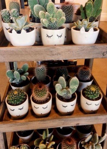 15+ ideas for plants aesthetic succulents -   13 plants Cactus planters ideas