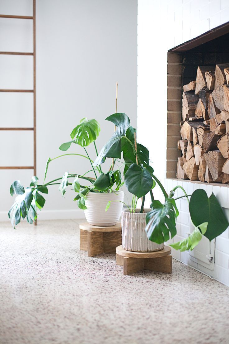 DIY Modern Wood Plant Stands -   14 modern plants Stand ideas