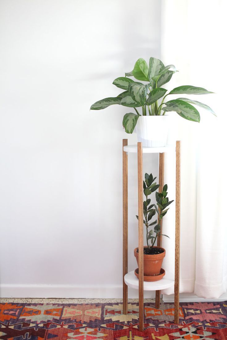 14 modern plants Stand ideas