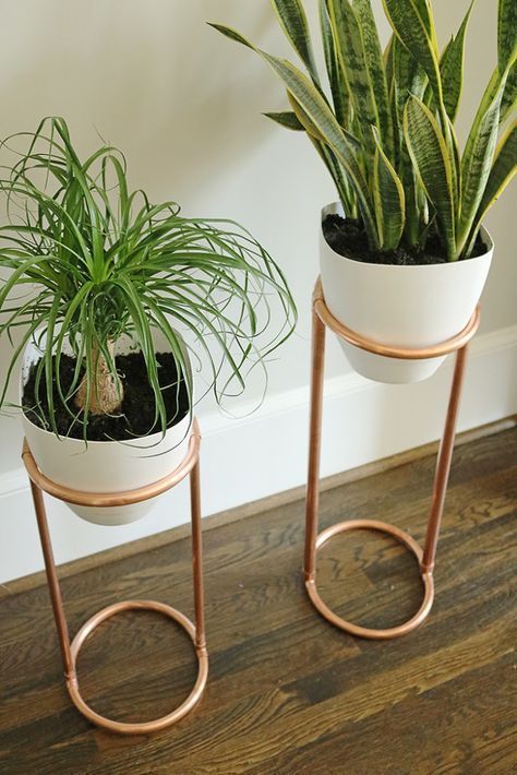 14 modern plants Stand ideas