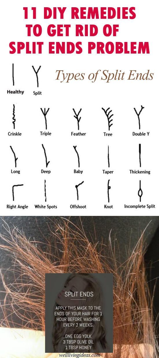 11 Best DIY Home Remedies to Get Rid of Split Ends Problem -   15 hair Healthy simple ideas