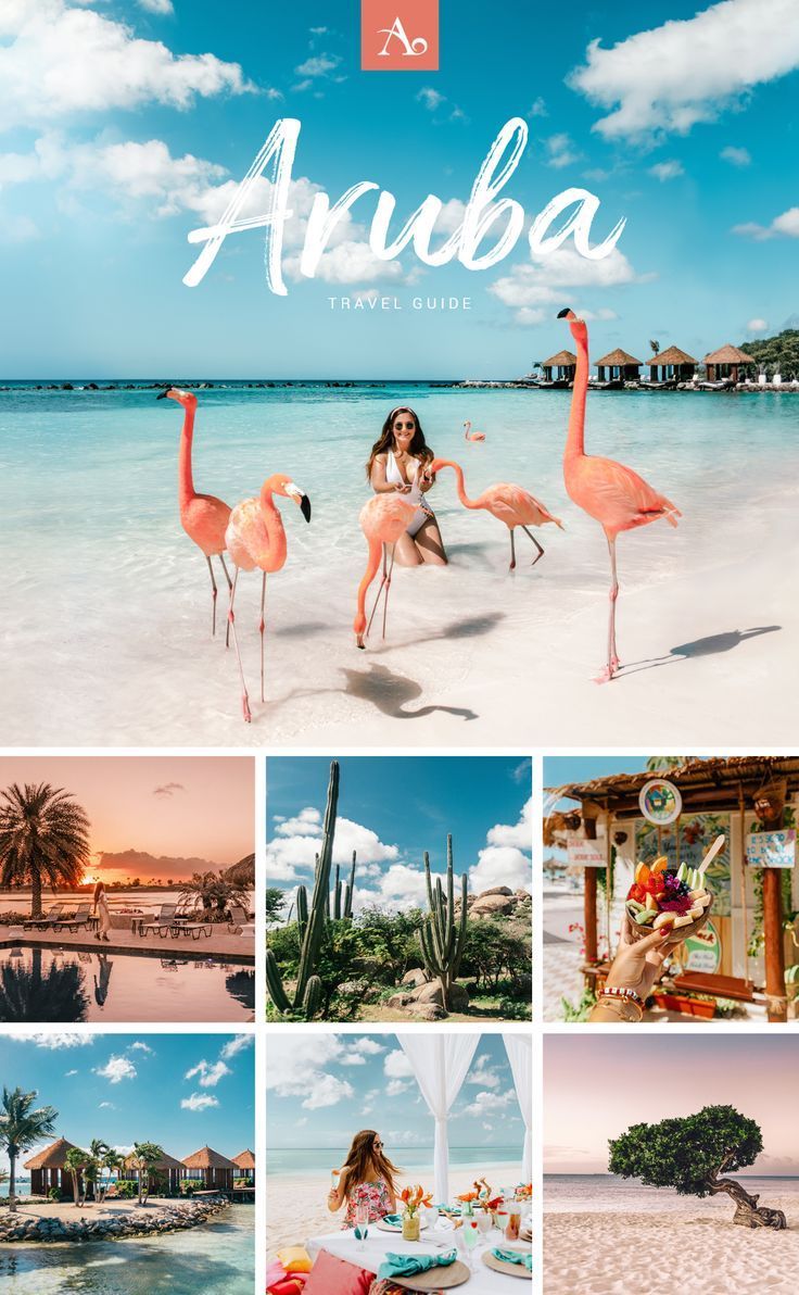 The Ultimate Aruba Travel Guide -   16 travel destinations Carribean dreams ideas
