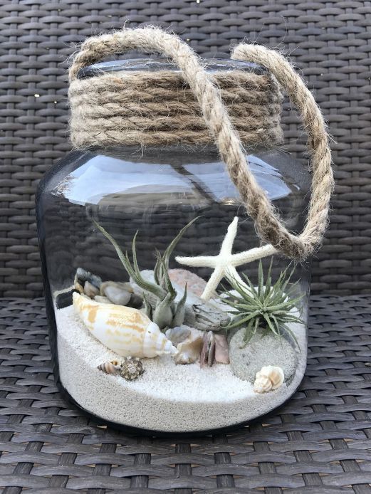Best 70+Air Plants DIY Ideas And Inspiration For You -   17 plants DIY crafts ideas