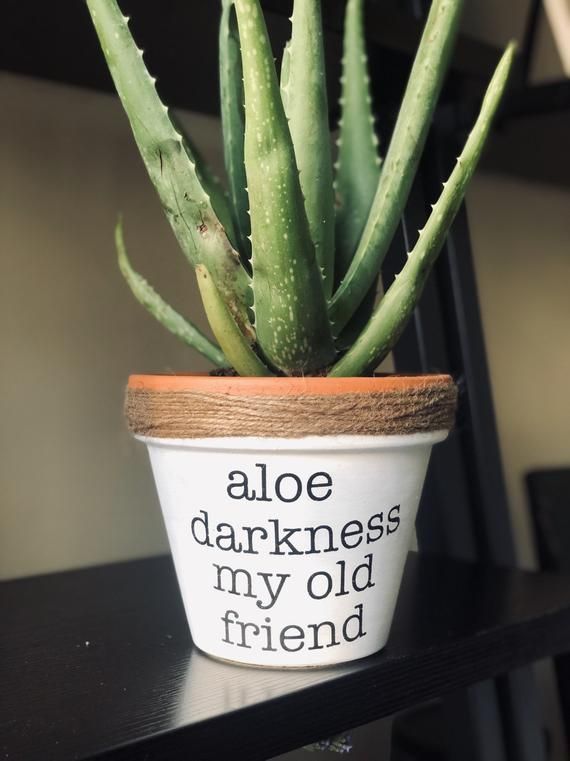 Punny planters. Customizable plant puns. Funny pots. Aloe darkness my old friend. Succ it up. Free hugs. Please dont die. I wet my plants -   17 plants DIY crafts ideas