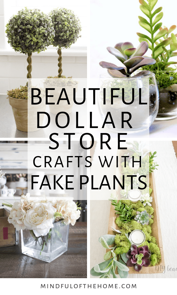 17 plants DIY crafts ideas
