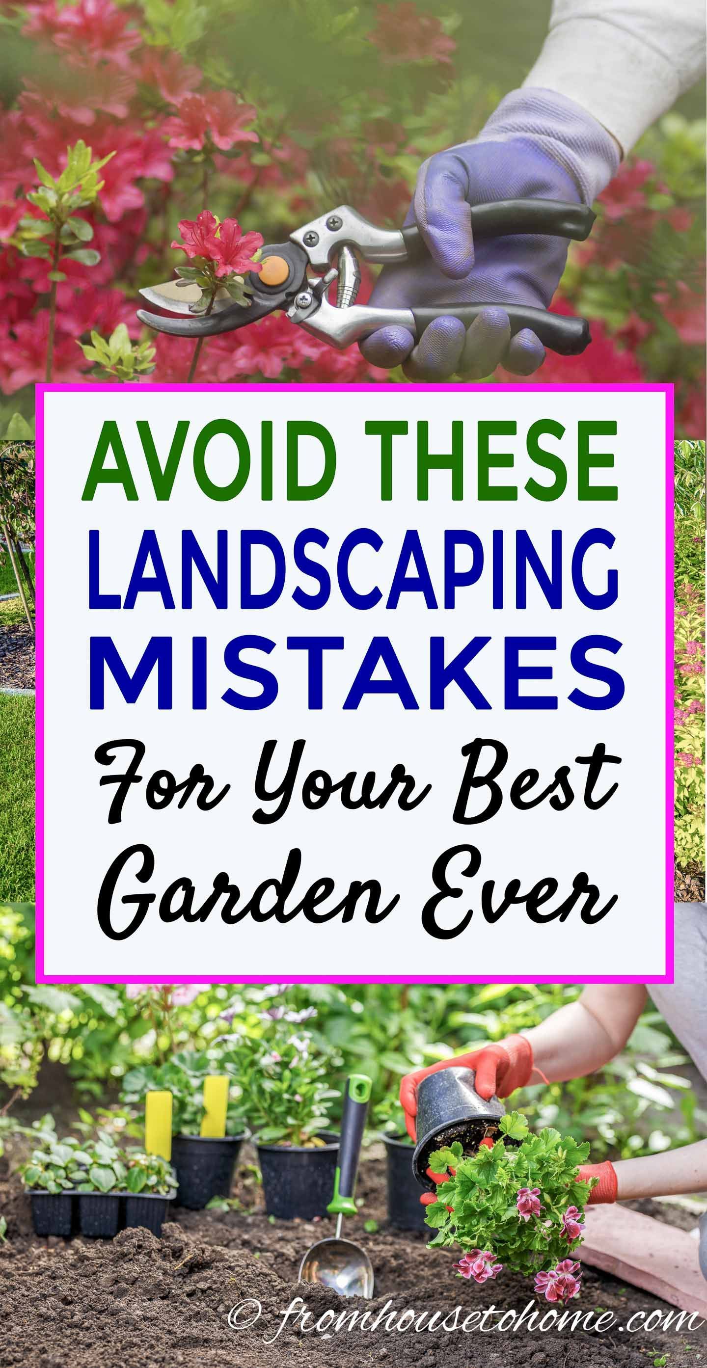 Avoid These 10 Landscaping Mistakes For Your Best Garden Ever -   17 plants Landscaping tips ideas