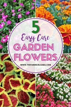 Five Easy Care Garden Flowers - www.thefarmgirlgabs.com -   17 plants Landscaping tips ideas