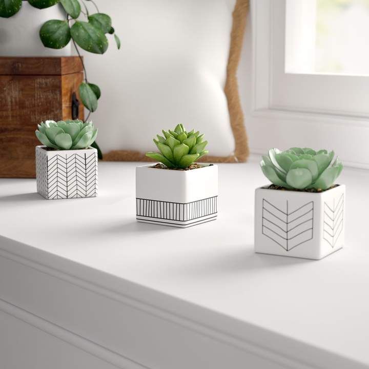 3 Piece Ceramic Succulent Desktop Plant in Pot Set -   18 artificial plants In Bedroom ideas