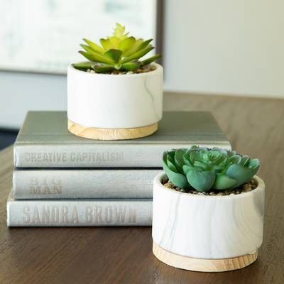 2 Piece Marble/ Wood Base Desktop Succulent Plant in Pot -   18 artificial plants In Bedroom ideas