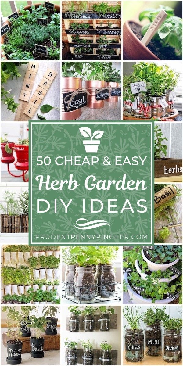 50 Cheap and Easy DIY Herb Garden Ideas -   18 easy planting ideas