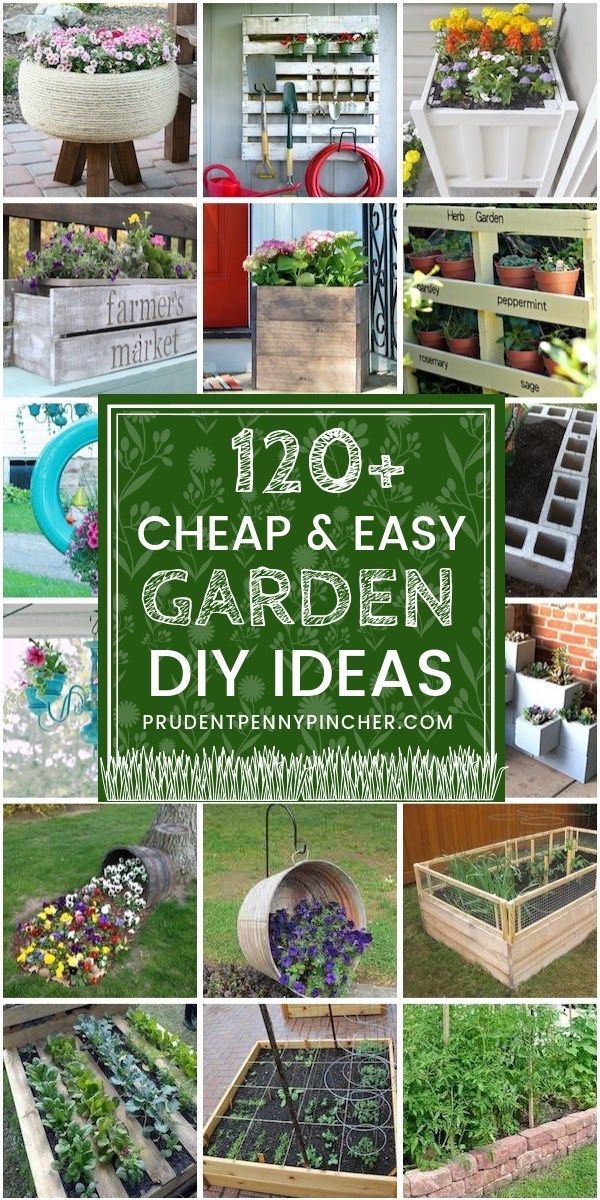 120 Cheap and Easy DIY Garden Ideas -   18 easy planting ideas